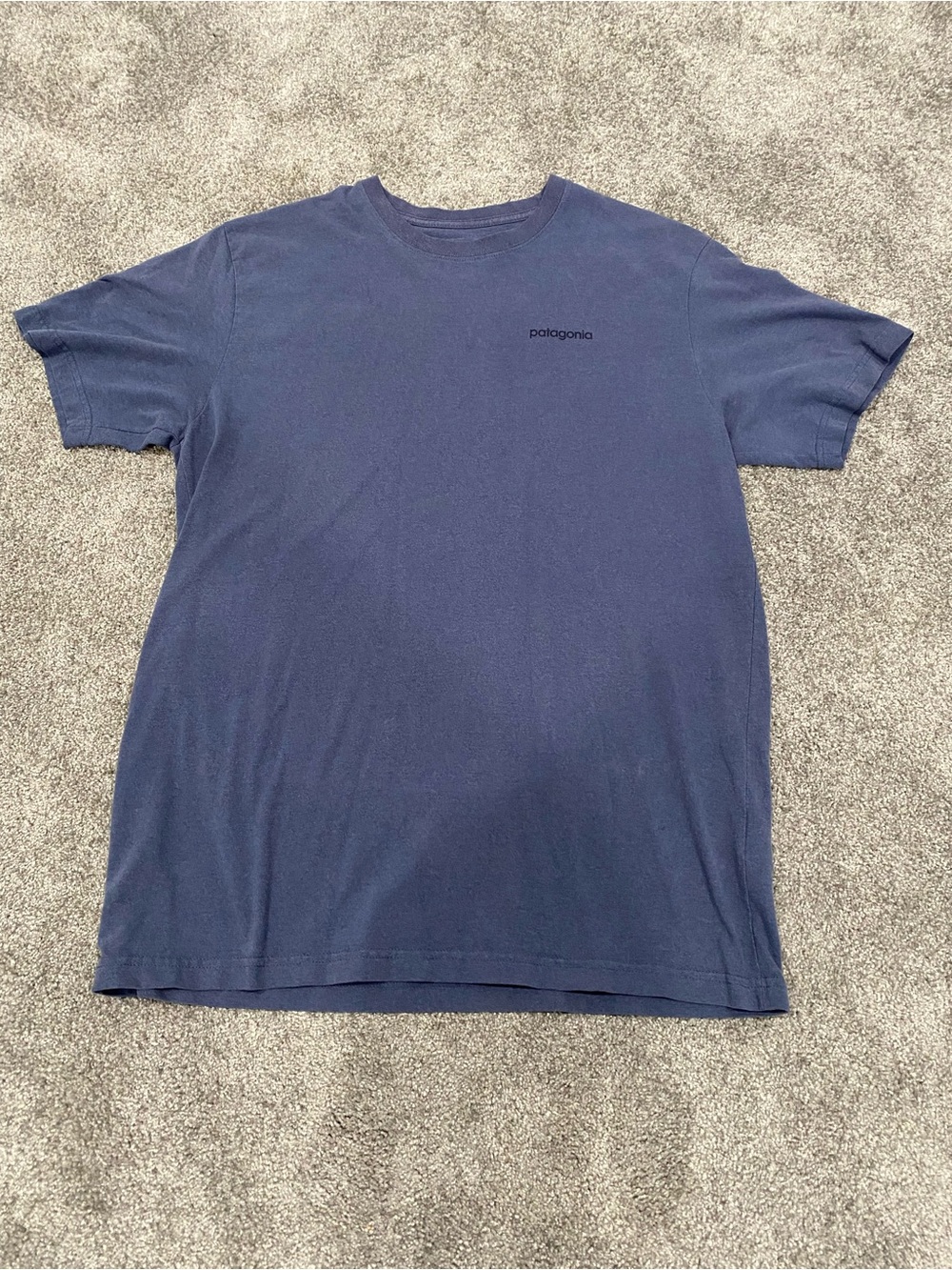 Patagonia Blue Mountain Logo T-Shirt Size Mens Large Regular Fit